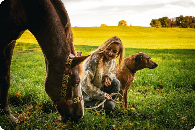 Kopie von 2_Transformation 1